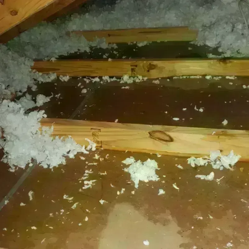 Attic Water Damage in New Boston, OH