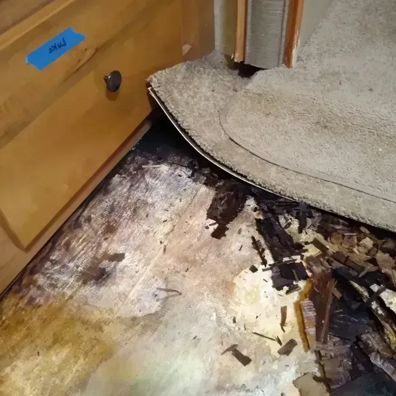 Wood Floor Water Damage in New Boston, OH